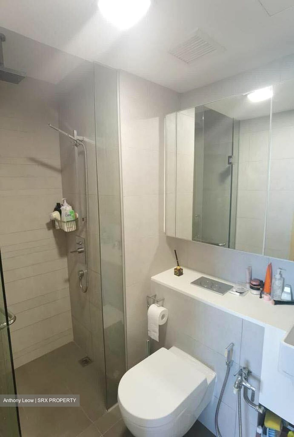 Eight Riversuites (D12), Condominium #419222961